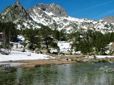 A birder’s view of Aigüestortes National Park