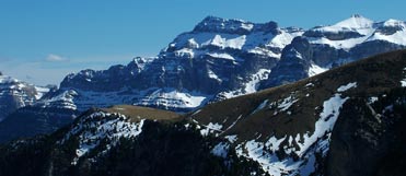 Birding in the high Pyrenees of Aragon