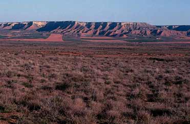 Dupont’s Lark country