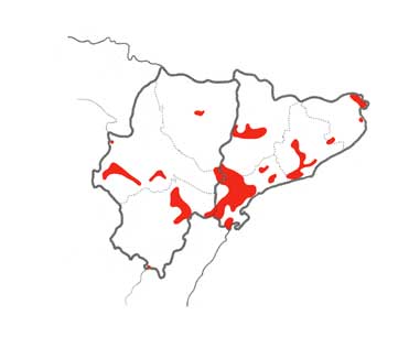 Bonelli’s Eagle distribution map in northeast Spain