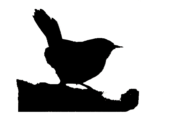 Bird silhouette 1