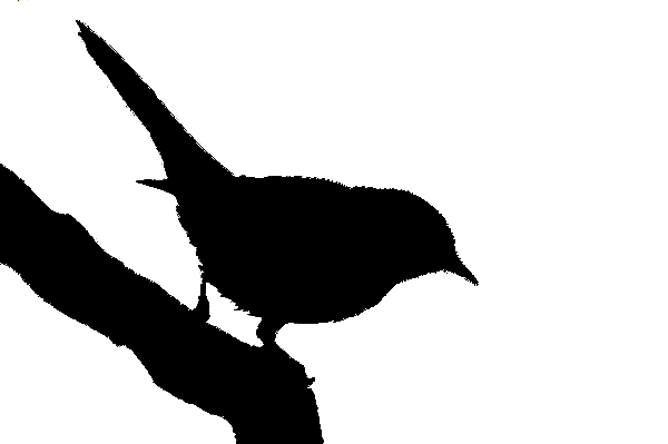Bird silhouette 2