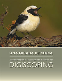 Digiscoping: una mirada de cerca