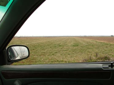 birding from the car