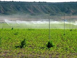 Irrigating the Monegros drylands