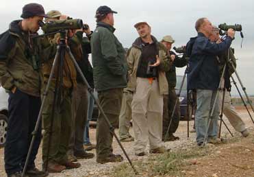British birders visiting Catalonia drylands