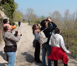 Out birding near Montsonís