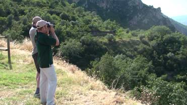 Birding Montsec, Catalonia, Spain