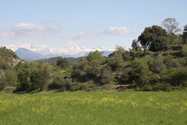 Pre-pyrenees in Spain in spring.
