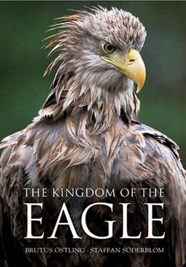 Kingdom of the Eagle