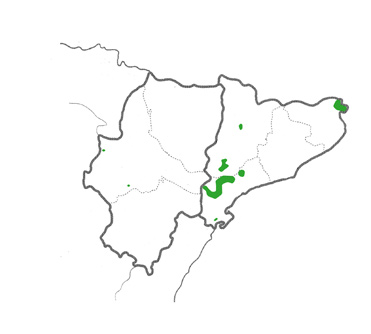 Red-rumped Swallow distribution map