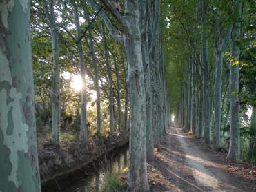 Canal d’Urgell between the drylands and Lleida