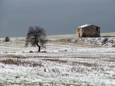 Snow on the Bellmunt drylands