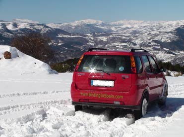 Birding in Spain in the snowy Pyrenees.