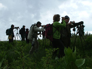 Spanish birders birding in Bulgaria