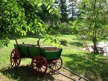 Jardín del hotel en Sakar