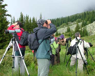 Birding at Vitosha