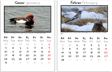 2011 birding calendar from Catalonia