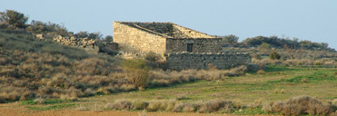 Drylands of Lleida