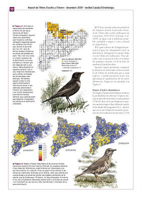 Catalan Winter Bird Atlas page layout and illustrations