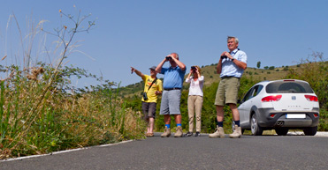 Birding with Steve