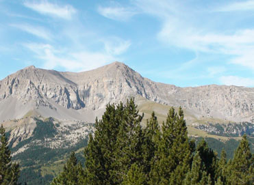 Birding the Pyrenees of Spain