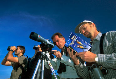 Birders with binoculars, telescope and field guide