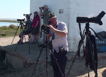 Birding in the shade in Spain, out of the midday sun