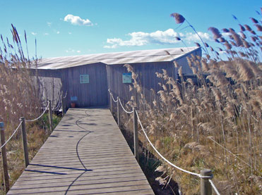 Hide for birding in the Llobregat Delta near Barcelona