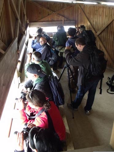Birders in one of the hides on the Llobregat Delta reserve near Barcelona