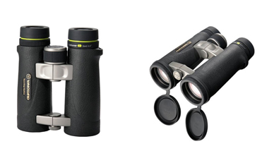 Vanguard ED 10 x 42 binoculars