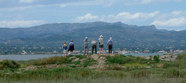 Birdwatching tours to Barcelona and the Ebro Delta