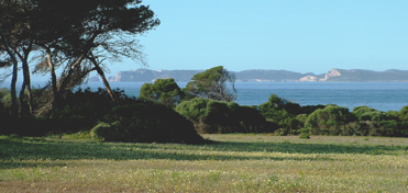 Birding on Mallorca