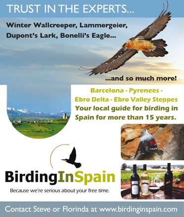 Birdwatching tours to Barcelona with Birding in Spain