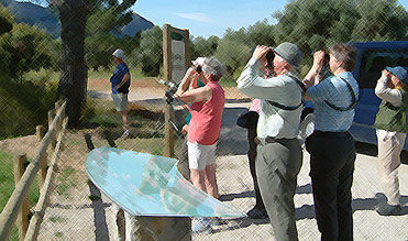 Birding In Spain: Birders in els Ports, Catalonia