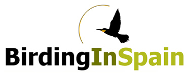 Birding In Spain old logo