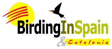 Birding In Spain new logo