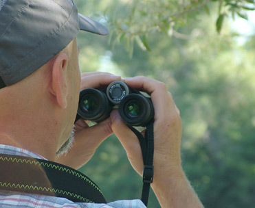 Birding by the river