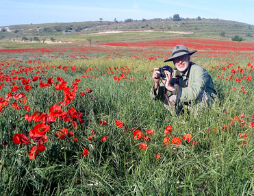 Mikko in a field of poppies. Birding in Spain is fun.
