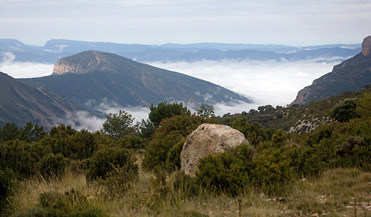 Boumort Nature reserve