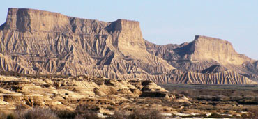 Birding in Navarra: The Bardenas Reales