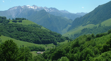 Birding in Navarra: Enjoy birding the Pyrenees of Spain and France