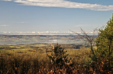 Birder’s house for sale in southern France: the photos