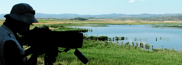 Birding in Navarra: Pitillas lagoon, an inland lake good for birds.