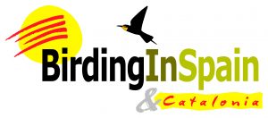 Birding In Spain