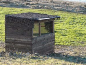 Birding In Spain Goshawk hide in Catalonia