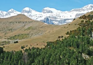 Birding in Ordesa, Spain