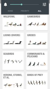 Collins Bird Guide App bird families