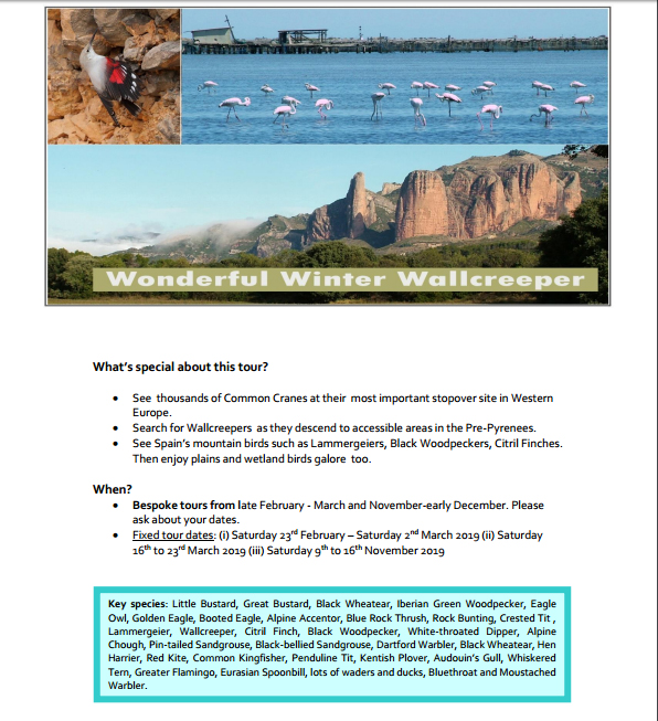 Wonderful Winter Wallcreeper Tour