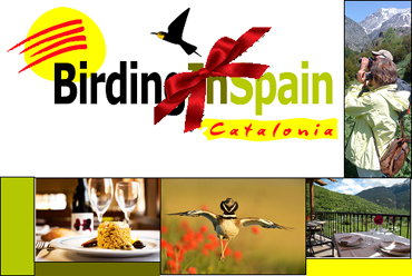 Birding In Spain gift card